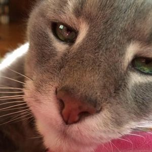 Meet your Posher, Christine